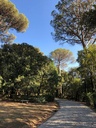 Poggio Cosmiano